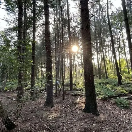 Sunrise Comfortable * Haren